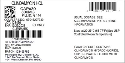 Label (68462 144 01 Clindamycin 300mg 67046 2073 30)